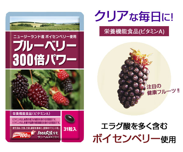 ブルーベリー300倍パワー 2