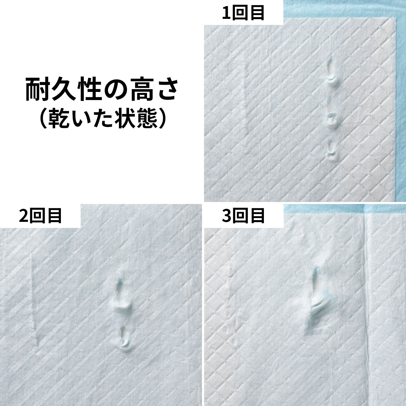 薄型ペットシーツ 5