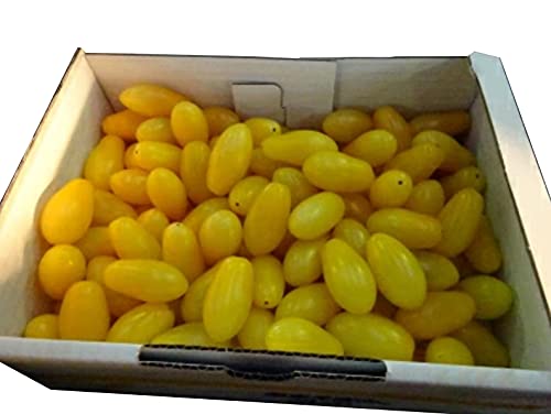 あまえぎみ クレア黄1kg 1