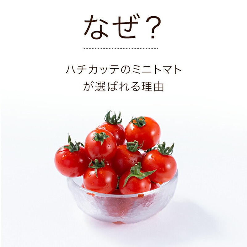 ミニトマト 3