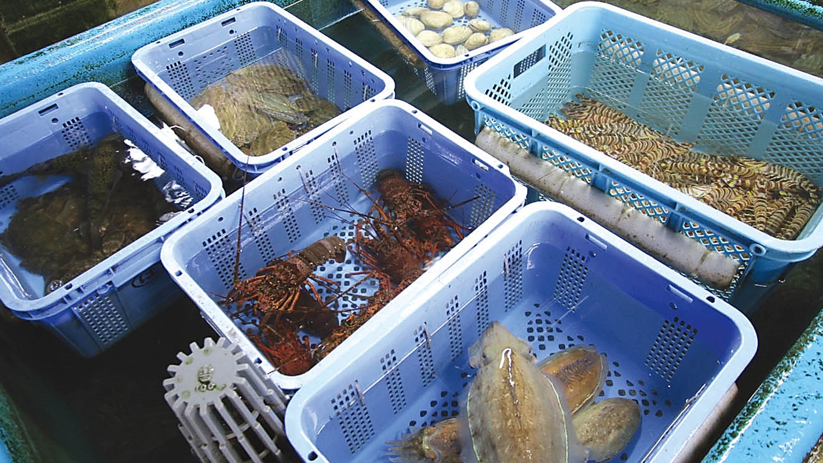 まるは食堂旅館 南知多豊浜本店 3