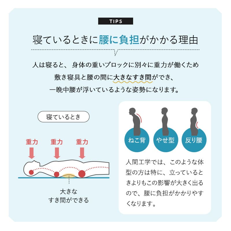 腰まくら 4