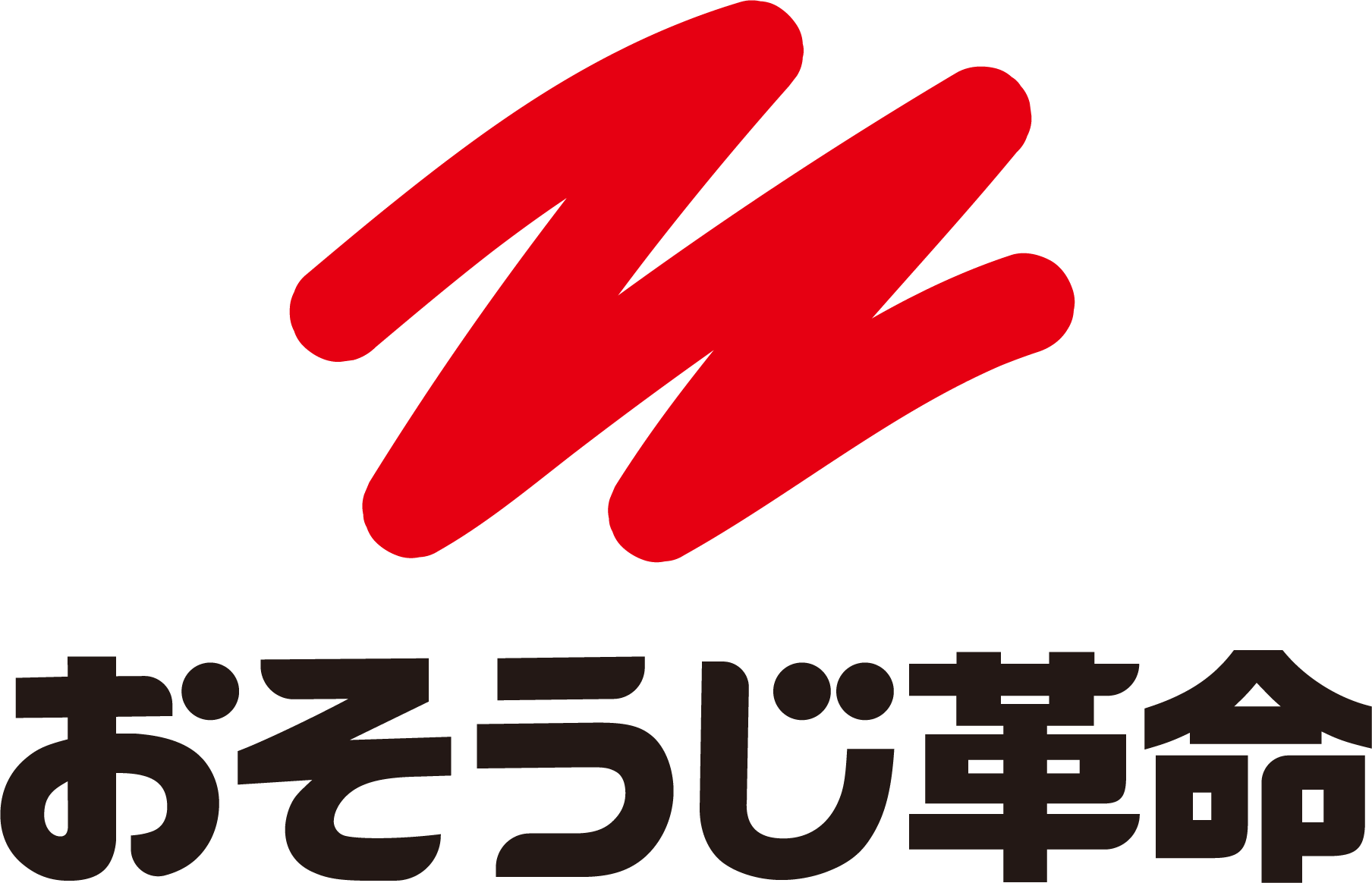 おそうじ革命 1