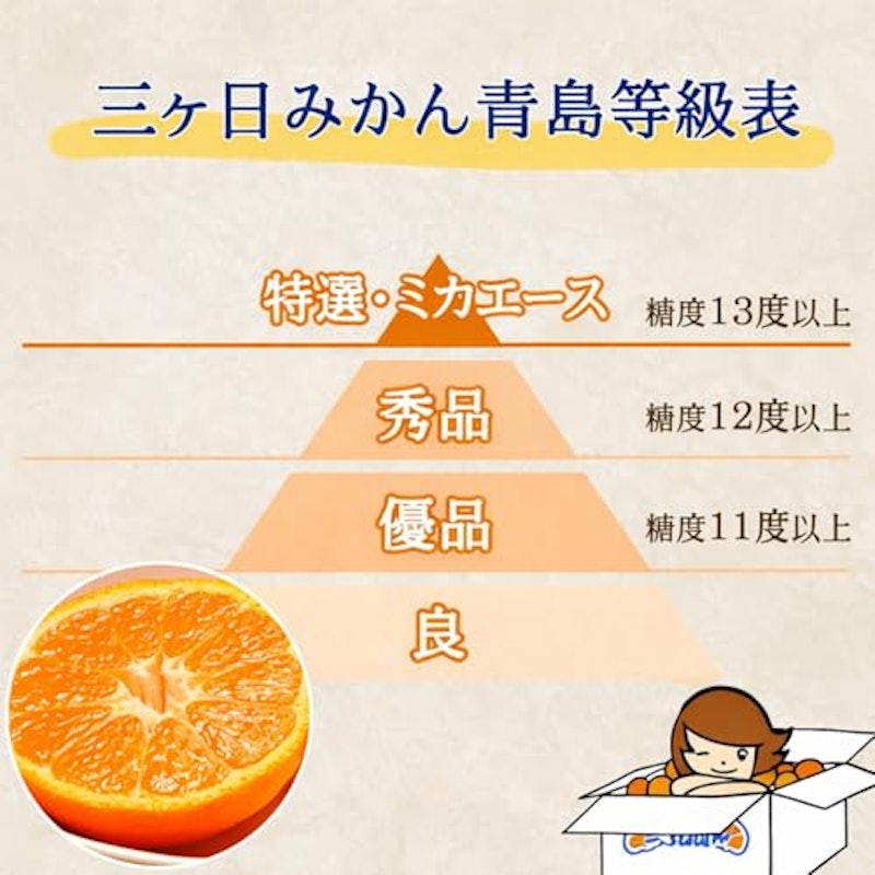 本貯蔵青島 「誉れ」 2