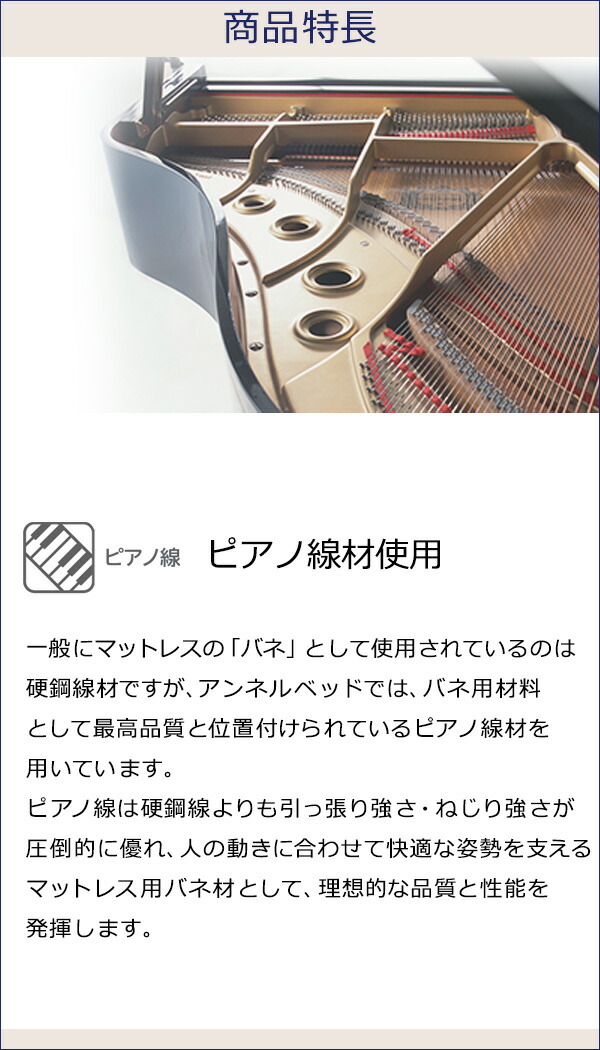 ラグジュアリーST 8