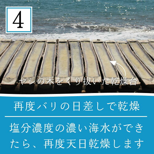 TEJAKULA バリ島の完全天日塩 あらじお 5