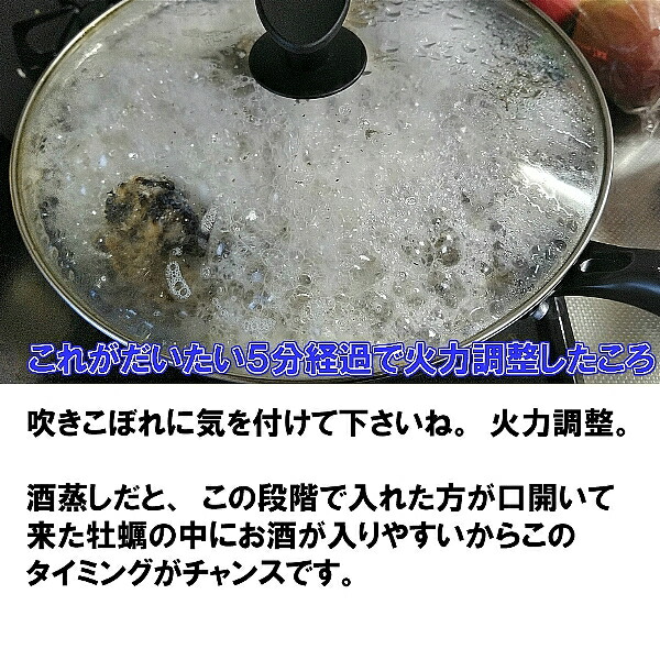 生食用冷凍牡蠣 殻付き 9