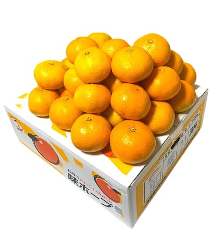 温州みかん 秀品 1