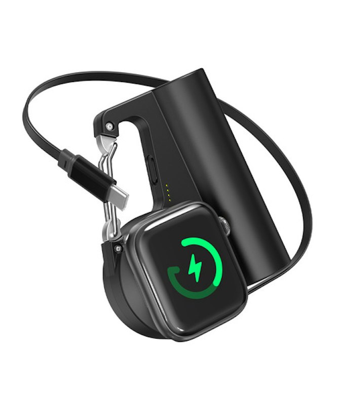 Carabiner Battery 1