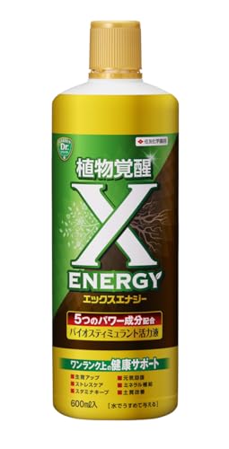 X-ENERGY 1