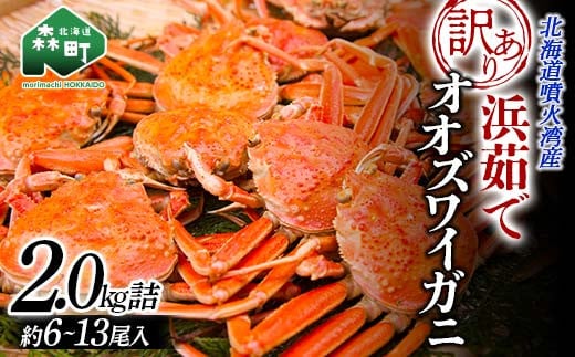 カニのふるさと納税返礼品のおすすめ人気ランキング【2026年6月】 1