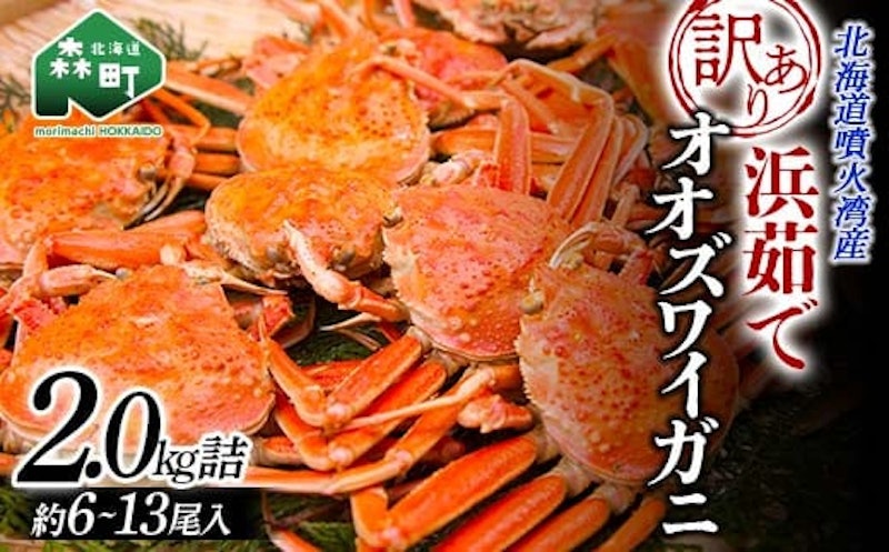 浜茹でオオズワイガニ 1