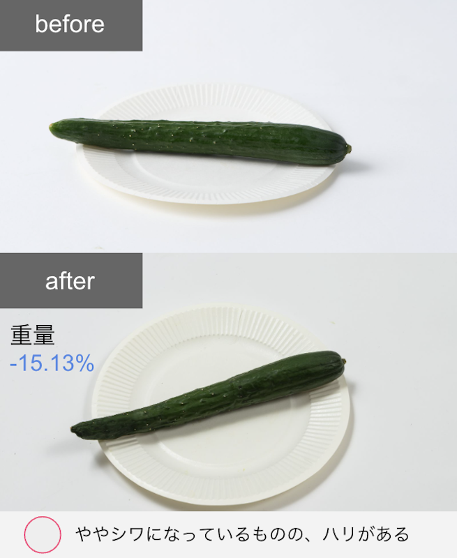 冷凍冷蔵庫 12