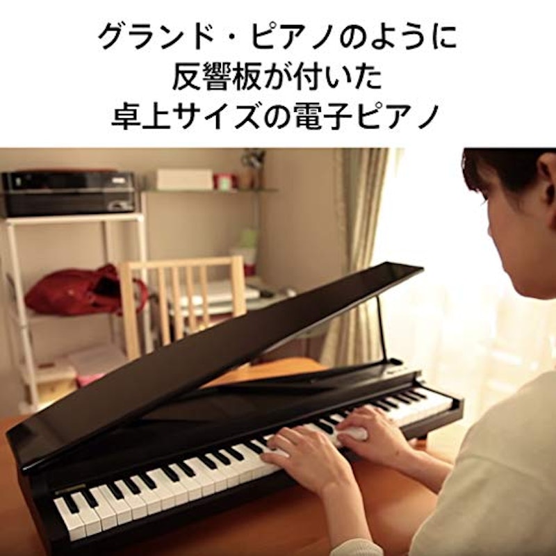 microPIANO 2