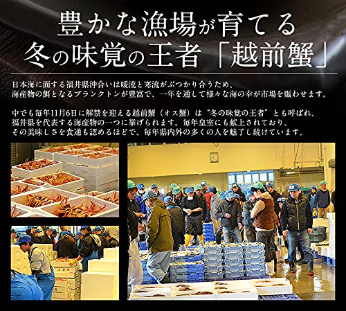 越前産 ズワイガニ 甲羅盛り 3