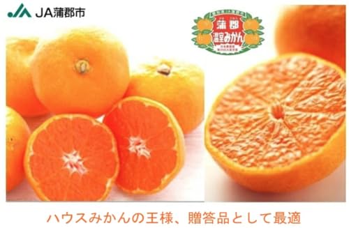 愛知産 蒲郡温室みかん 2