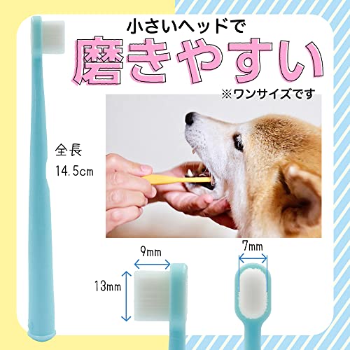 歯ブラシ 4