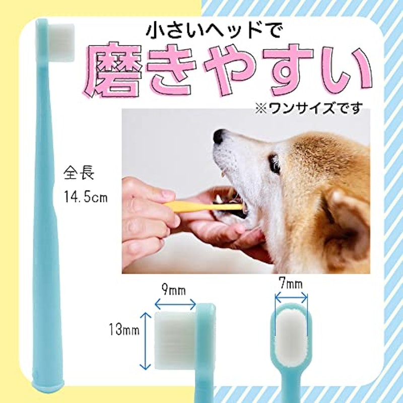 歯ブラシ 4