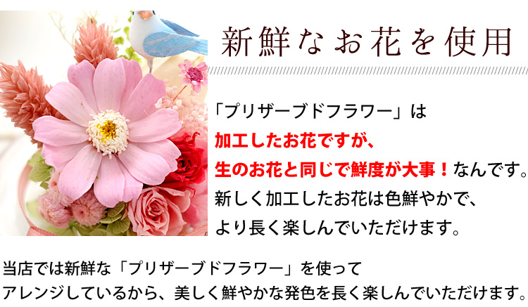 幸運のモチーフ付ガラスドーム 5