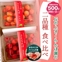 さくらんぼ食べ比べセット 1