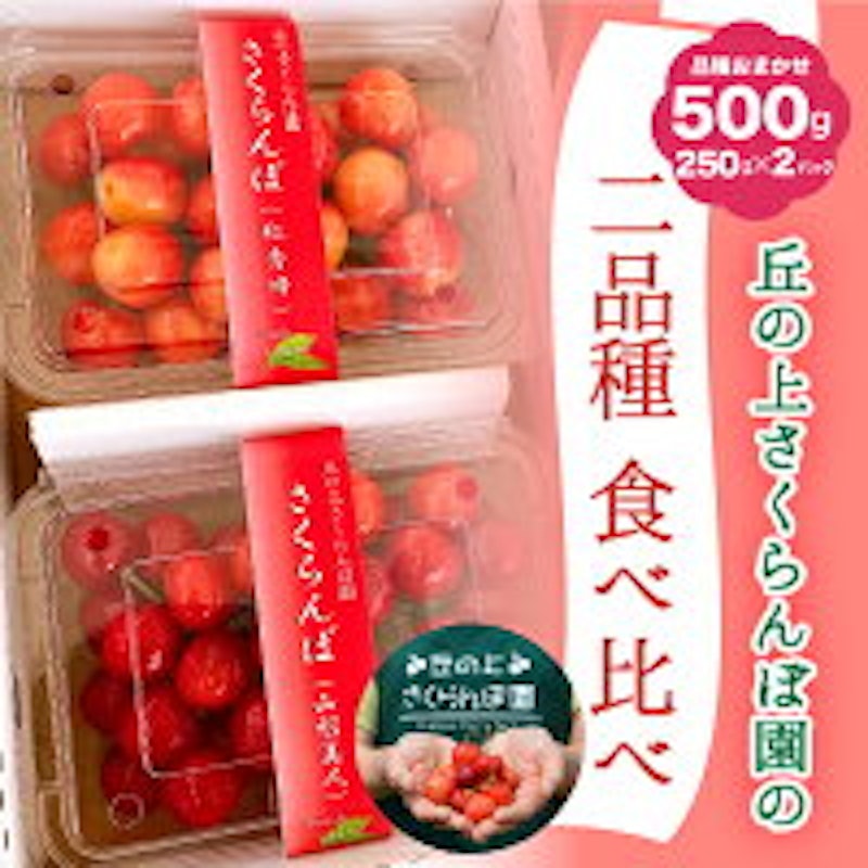 さくらんぼ食べ比べセット 1