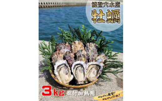 能登穴水の牡蠣 殻付 2