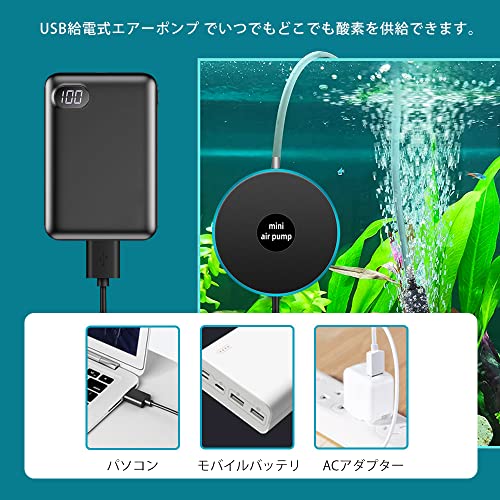 USB小型エアーポンプ 3