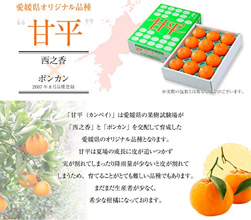 甘平 3
