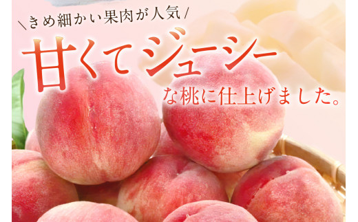 伊万里の桃 2
