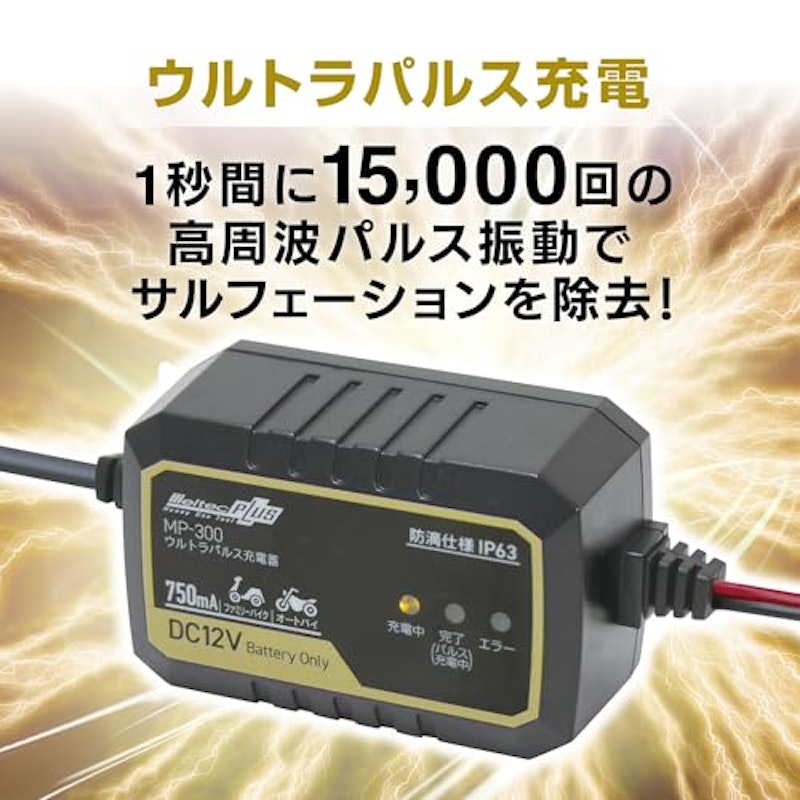 ウルトラパルス充電器 0.75A 3