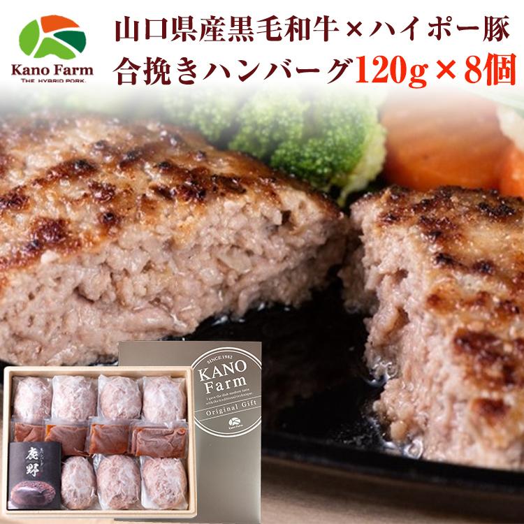 和牛と鹿野ファームの豚肉のあいびきハンバーグ  1