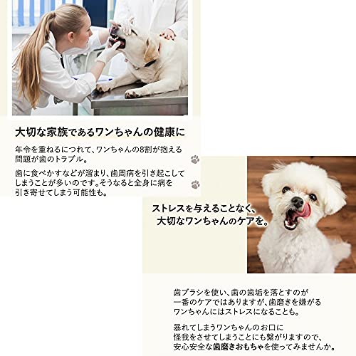 22年 犬用噛むおもちゃのおすすめ人気ランキング23選 Mybest