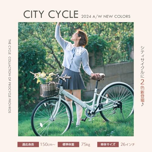 折りたたみシティサイクル 2