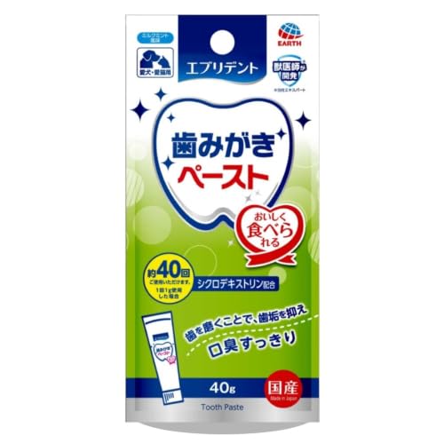 歯みがきペースト 1