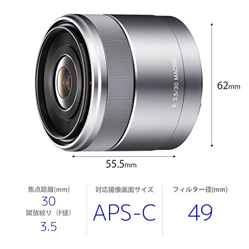 SAL100M28 SONY ソニー Aマウント フルサイズ マクロ