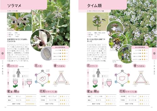 虫がよろこぶ花図鑑  6