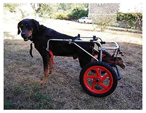 トイプードル4輪歩行器！リハビリ!食事補助!犬の歩行器！介護用!犬の車椅子!