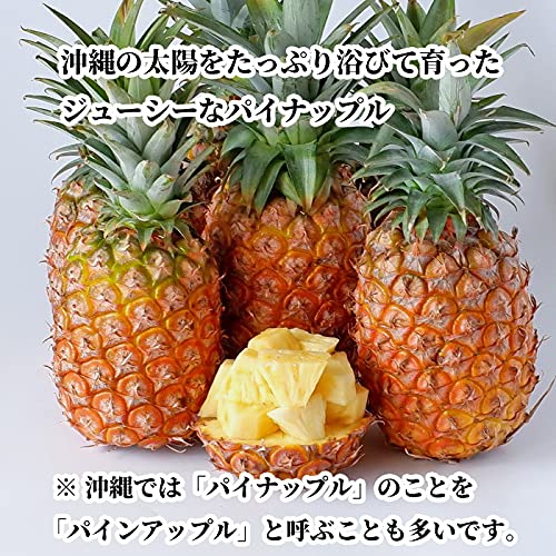沖縄県産パイナップル 3
