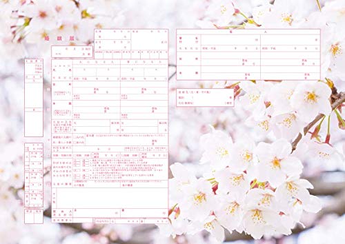 婚姻届 Spring Memories 1