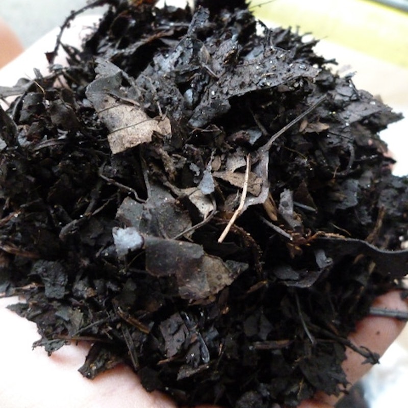 22年 カブトムシ用腐葉土のおすすめ人気ランキング4選 Mybest 22年 カブトムシ用腐葉土のおすすめ人気ランキング4選 Mybest