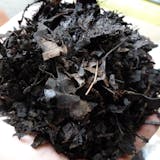 カブトムシ用腐葉土のおすすめ人気ランキング【2026年5月】 3