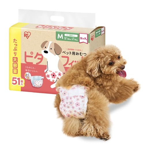 ペット用おむつ 1