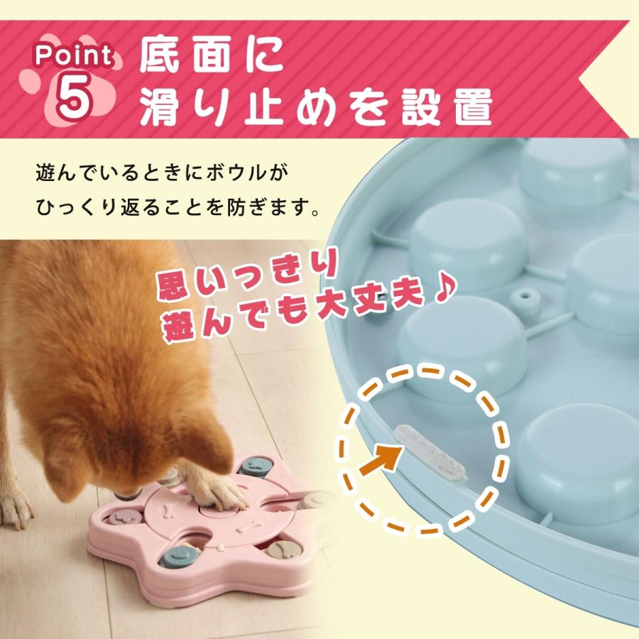 ノーズワーク 6
