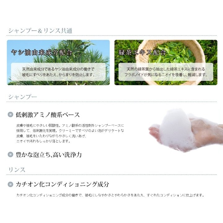 ゾイックN 3