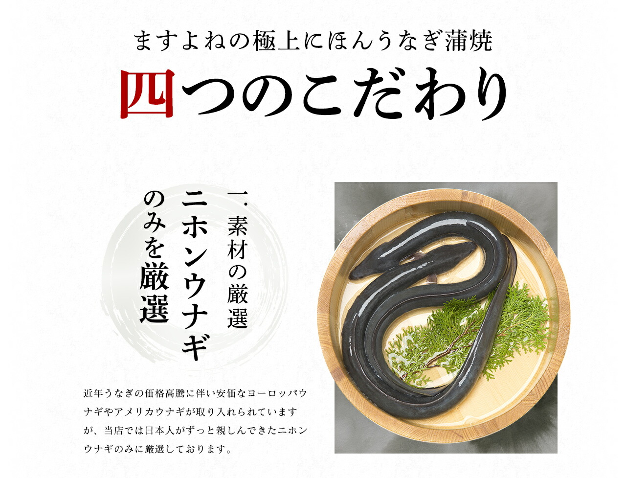 にほんうなぎ蒲焼き 10