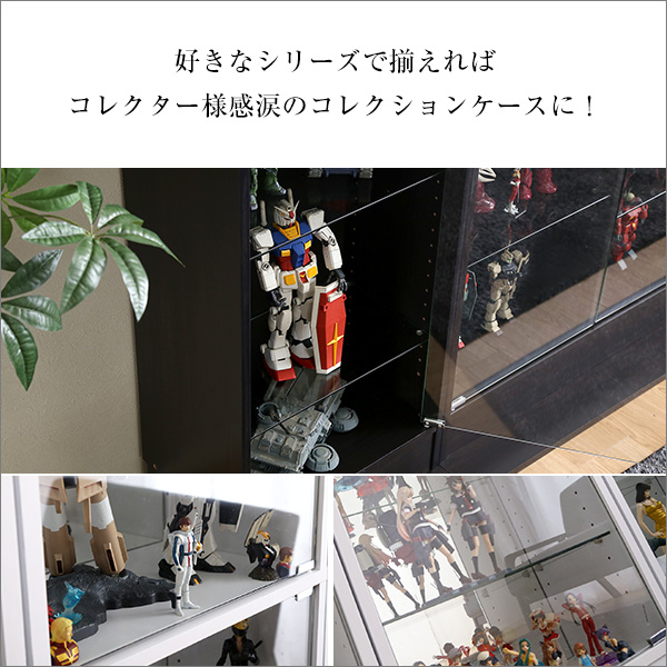 コレクションケース 4