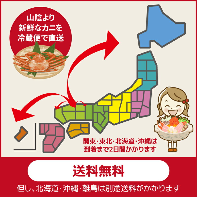 山陰沖日本海産 松葉ガニ 7