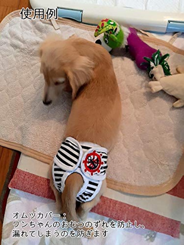 22年 犬用サニタリーパンツのおすすめ人気ランキング選 Mybest 22年 犬用サニタリーパンツのおすすめ人気ランキング選 Mybest