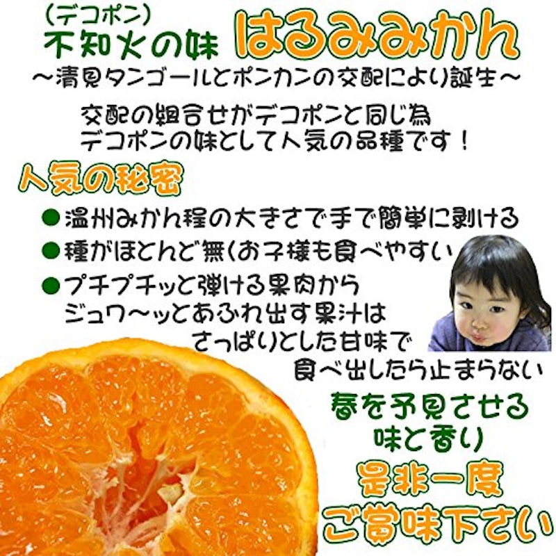 愛媛県産 はるみみかん 3