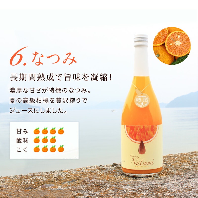 島みかんジュース 選べる2本セット 12